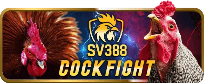 Cá cược thể thao trên fb68